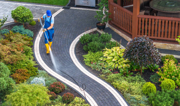 Best House Pressure Washing  in Altamonte Springs, FL